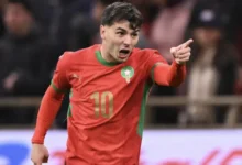 ليلة زئير الأسود.. مباراة المغرب ونيجيريا في نصف نهائي أفريقيا